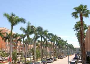 Park i miami